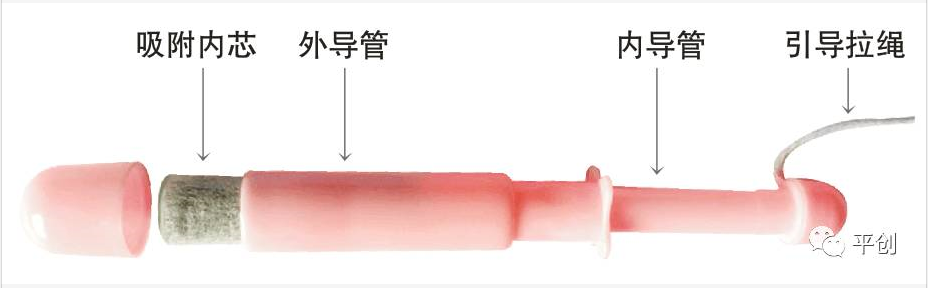 陰道填塞內